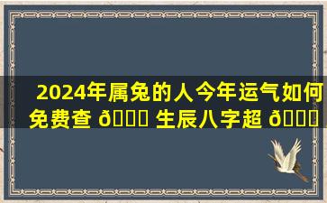 2024年属兔的人今年运气如何免费查 🐟 生辰八字超 🐒 准！